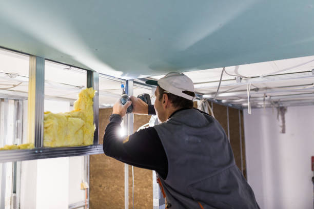 Best Insulation Maintenance and Repair in Eagar, AZ