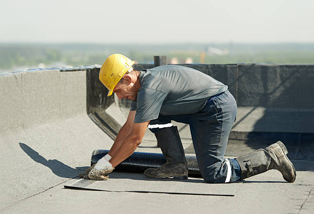Best Specialty Insulation in Eagar, AZ